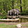 Fertigung von Wasserbecken mit Spritzbeton im Tierpark Berlin